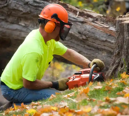 tree services Michigan